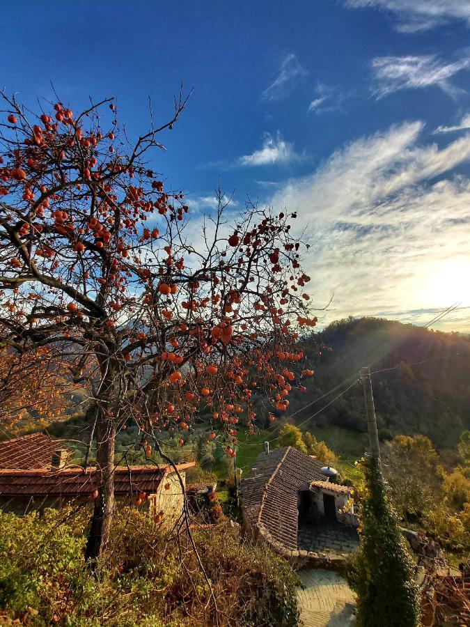 Il Convento Di Casola Casola in Lunigiana 외부 사진